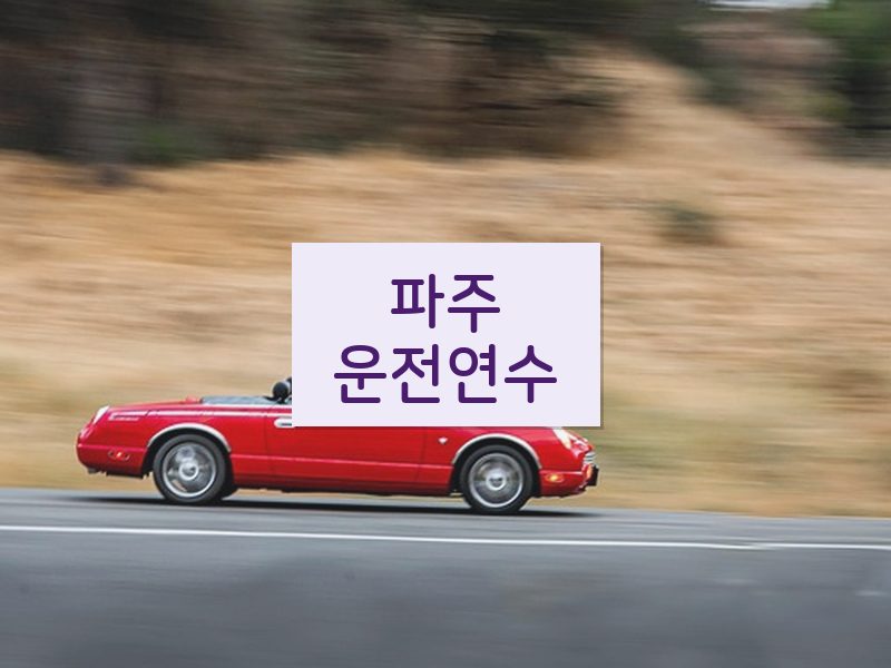 파주운전연수 후기