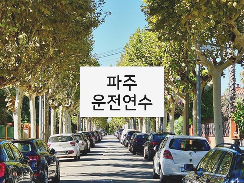 파주운전연수 후기