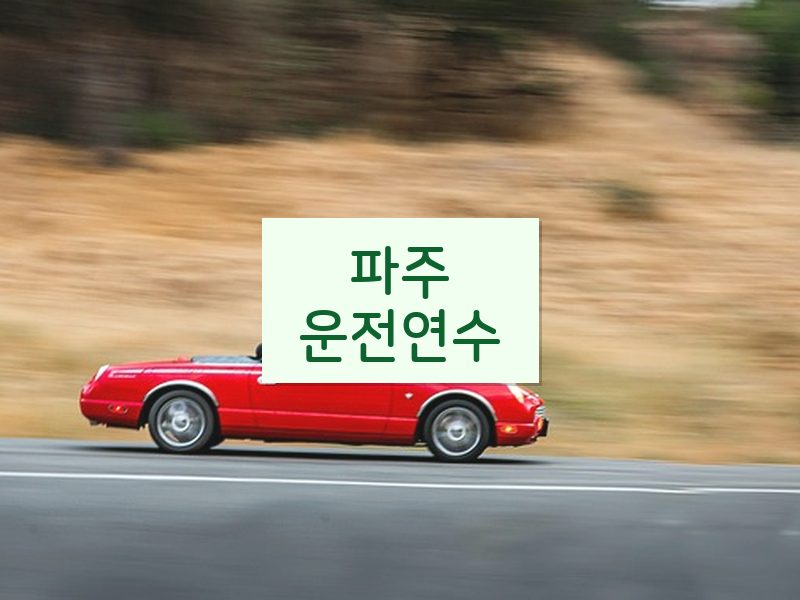 파주운전연수 후기