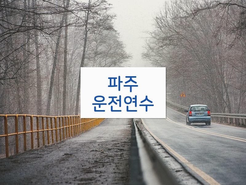 파주운전연수 후기