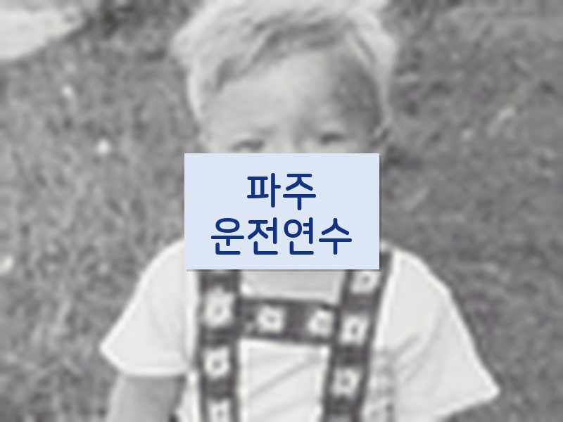 파주운전연수 후기