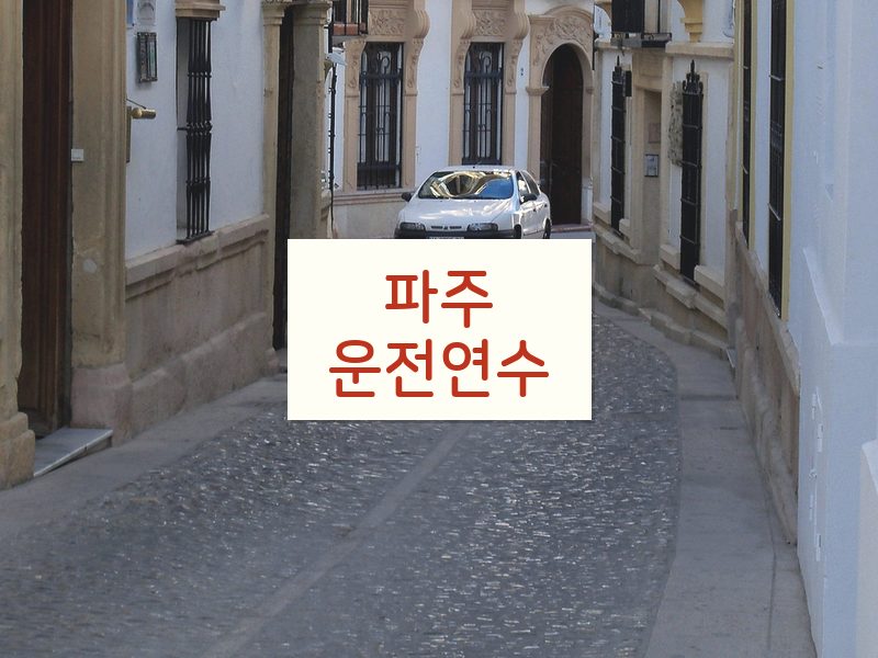 파주운전연수 후기