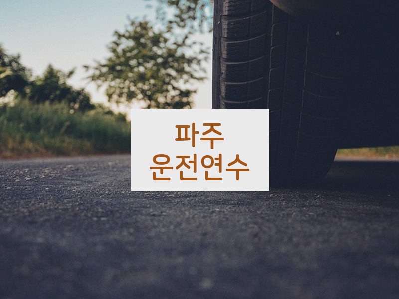 파주운전연수 후기