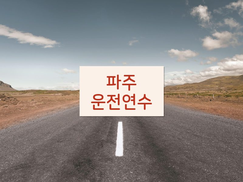 파주운전연수 후기