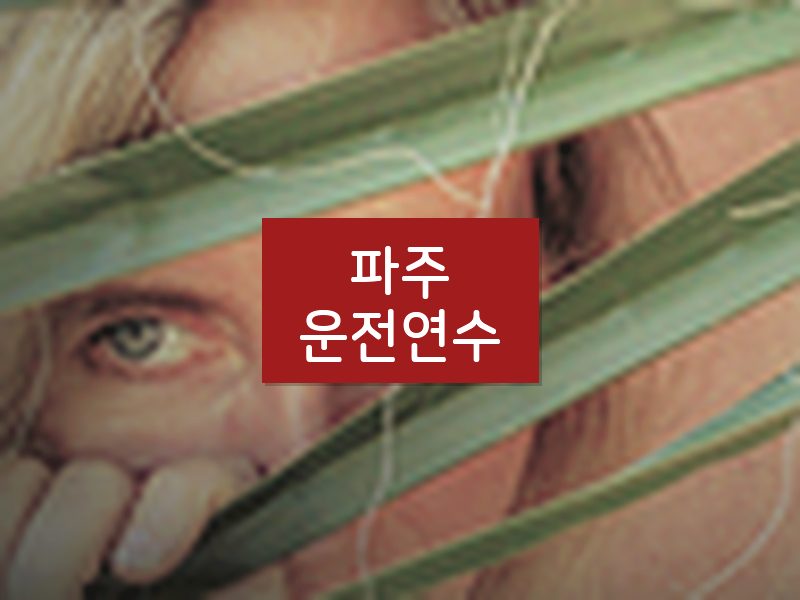 파주운전연수 후기