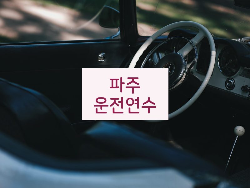 파주운전연수 후기