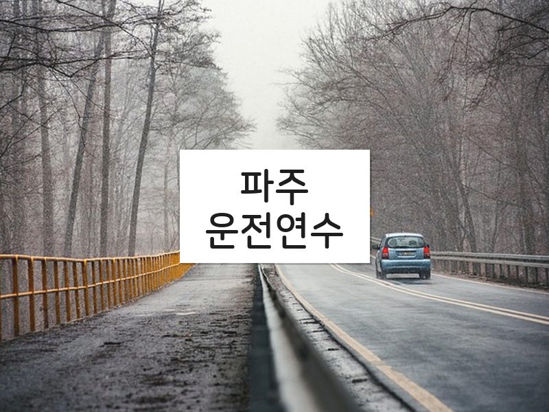 파주운전연수 후기