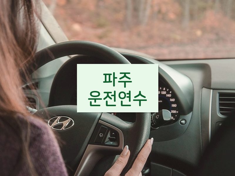 파주운전연수 후기