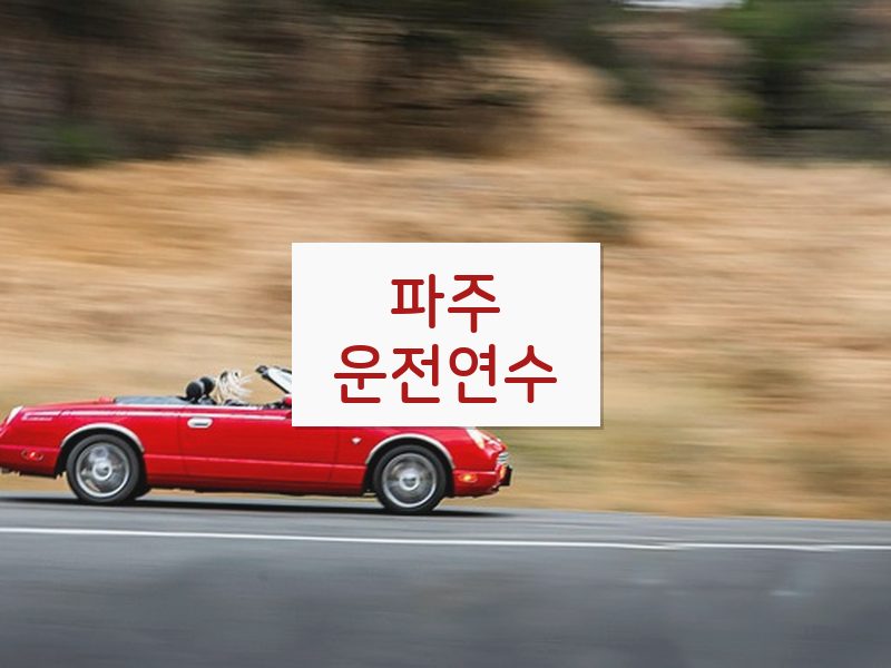 파주운전연수 후기