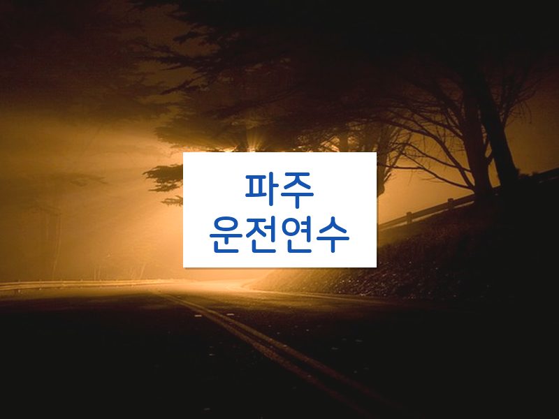 파주운전연수 후기