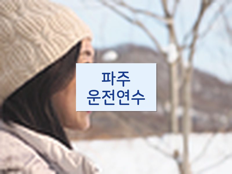 파주운전연수 후기