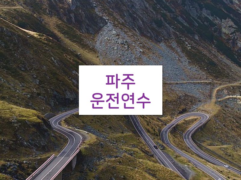 파주운전연수 후기