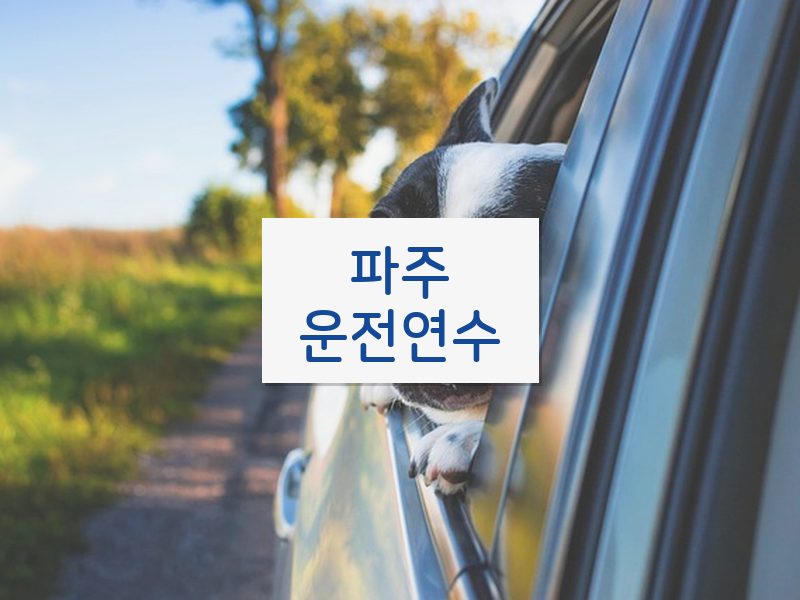 파주운전연수 후기