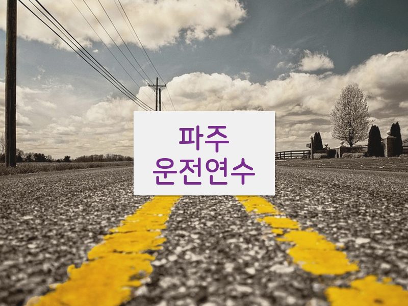 파주운전연수 후기