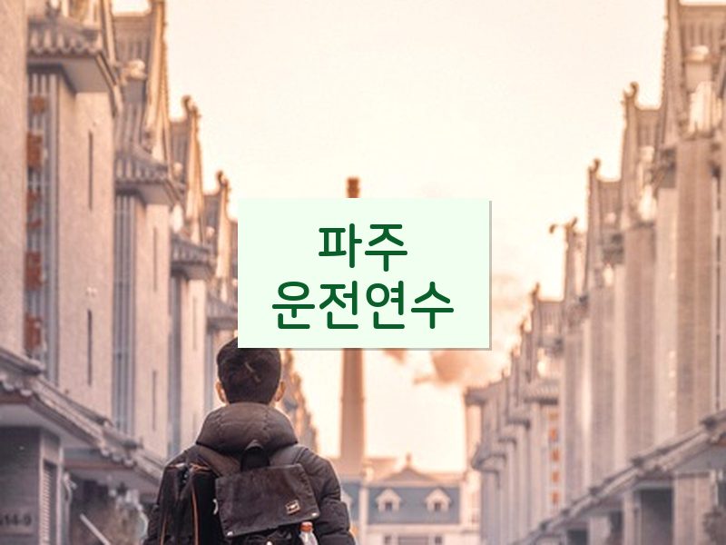 파주운전연수 후기