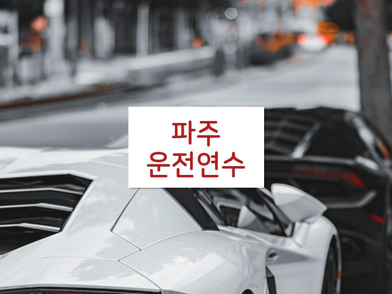 파주운전연수 후기