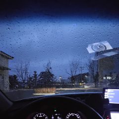 새벽 연수 좋아요