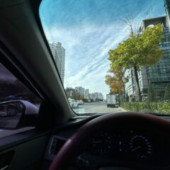 완전 초보에서 운전자로