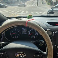 2주 완성 코스 수료