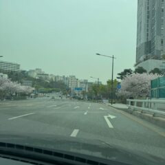 헤드라이트 사용법