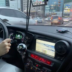 반려동물과 함께 운전 연습