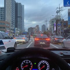 세상이 넓어졌어요