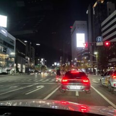 10년 장롱면허 드디어 졸업