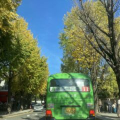 결혼 후 장롱면허 탈출기