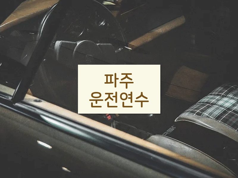 파주운전연수 후기