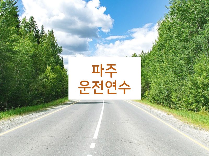 파주운전연수 후기