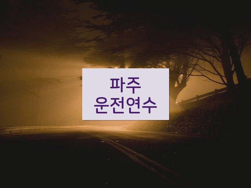 파주운전연수 후기