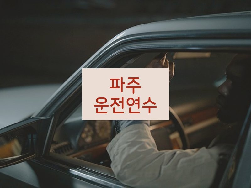 파주운전연수 후기