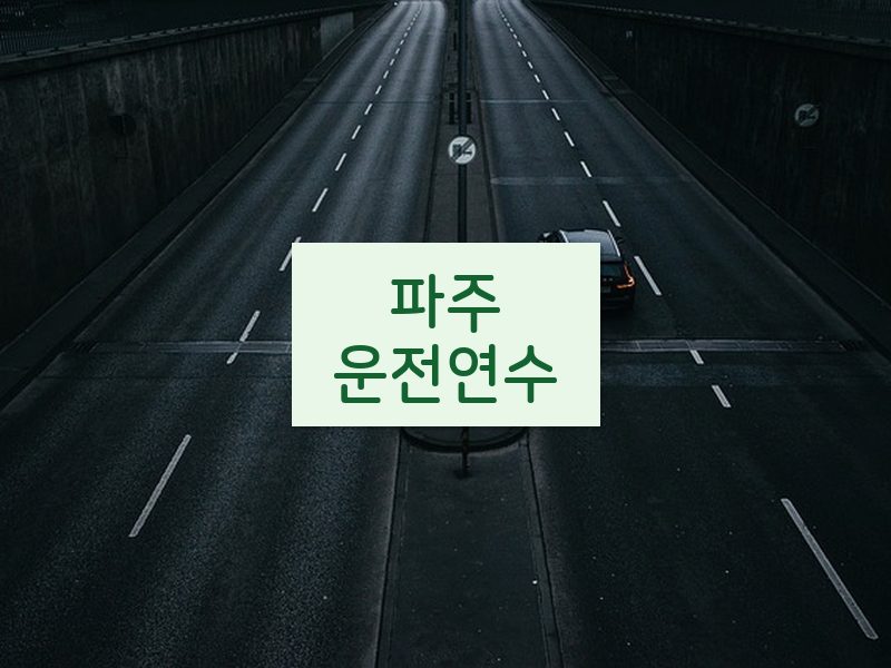 파주운전연수 후기