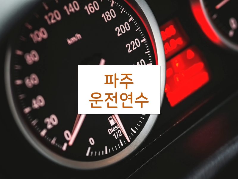 파주운전연수 후기