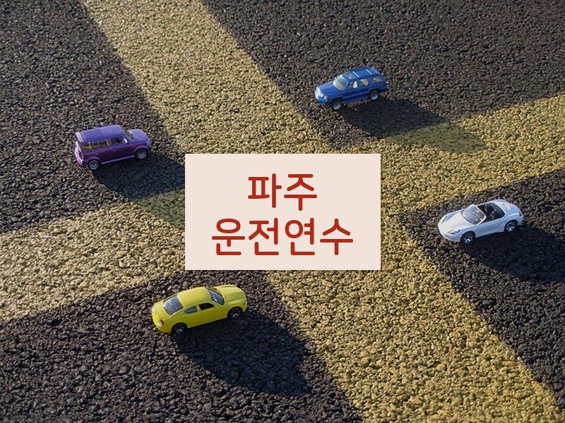 파주운전연수 후기