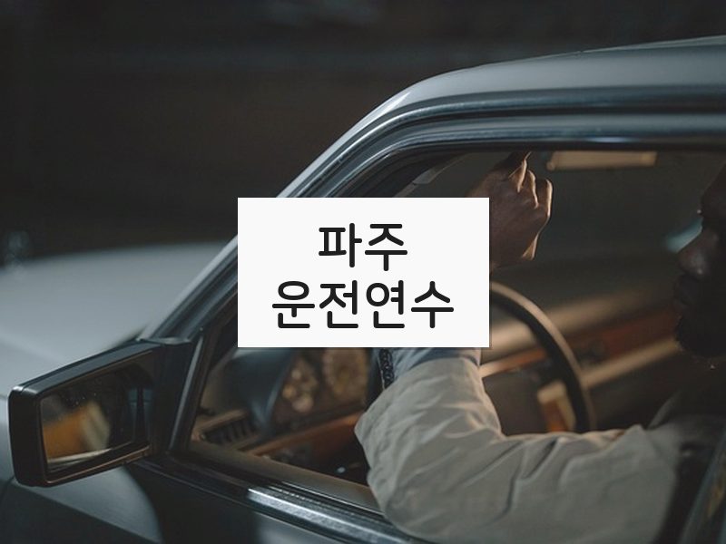 파주운전연수 후기