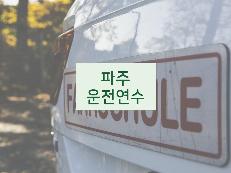 파주운전연수 후기