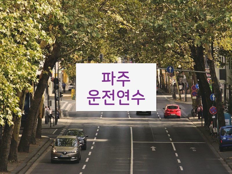 파주운전연수 후기