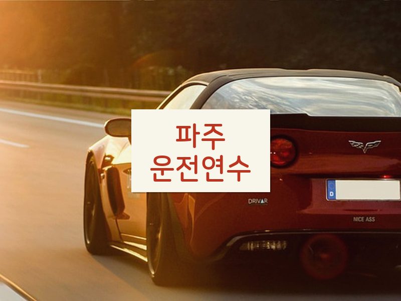 파주운전연수 후기