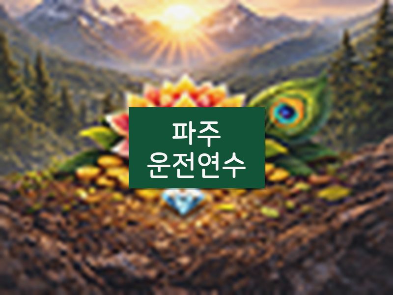 파주운전연수 후기