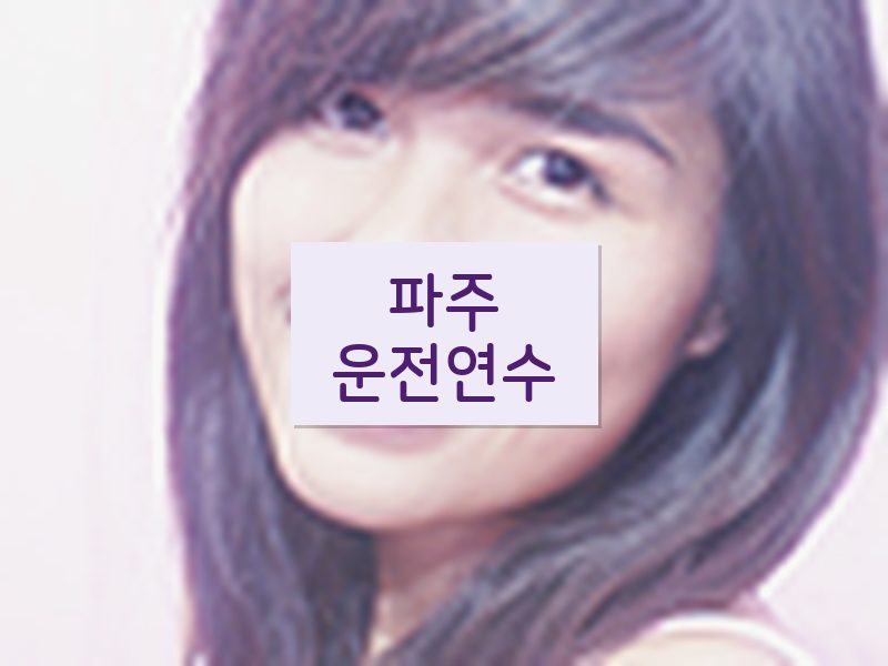 파주운전연수 후기