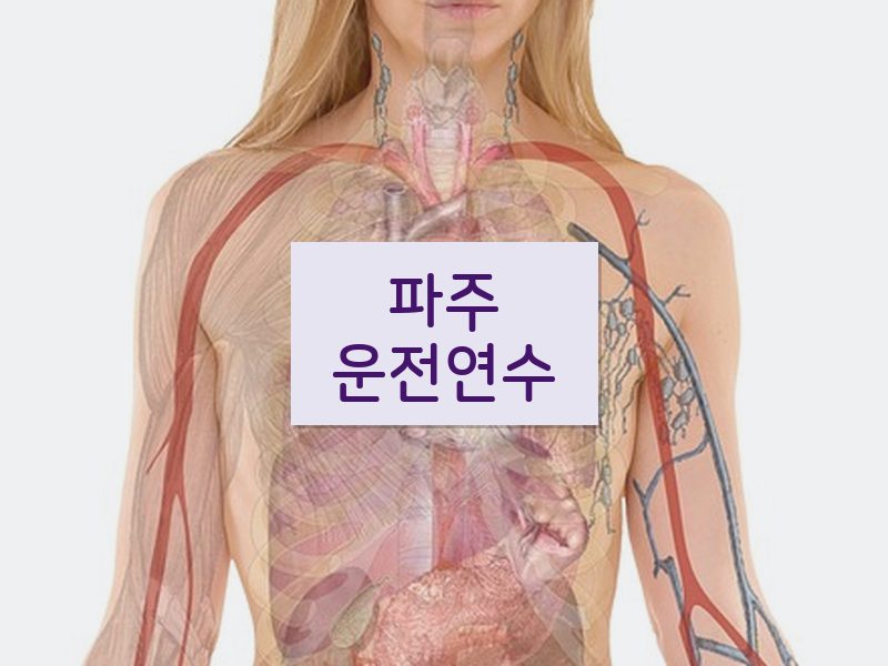 파주운전연수 후기