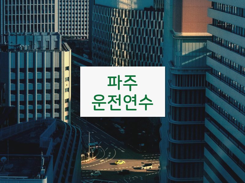 파주운전연수 후기