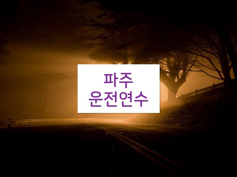 파주운전연수 후기